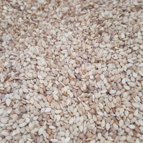 Products Sesame Seeds