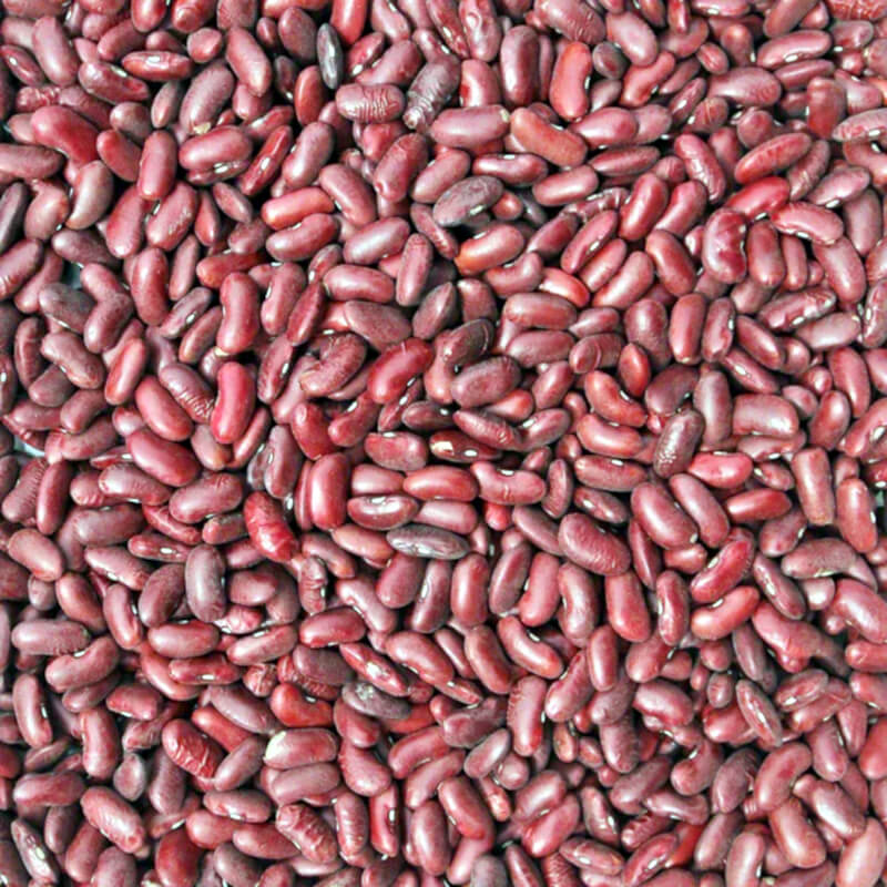 Products Other Beans & Pulses Red Kidney Beans