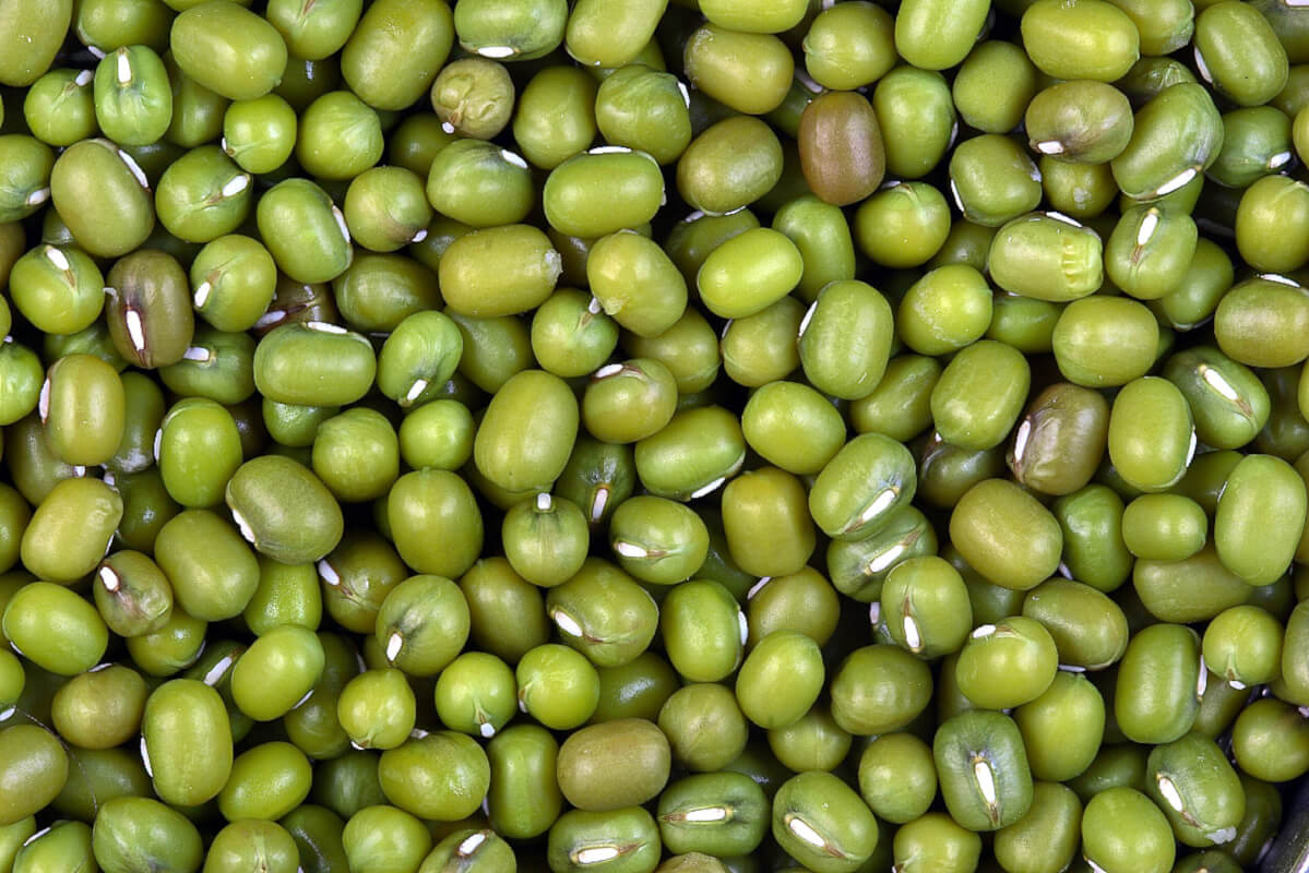 Products Other Beans & Pulses Mung Beans