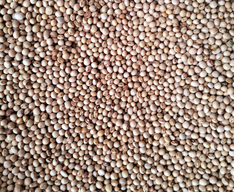 Products Other Beans & Pulses Pigeon Peas